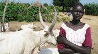 Семья из Южного Судана продала 17-летнюю дочь через Facebook за 500 коров и 3 автомобиля